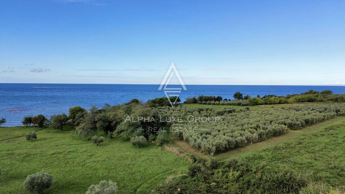 Istra, Savudrija: Moderne hiše ob morju z razgledom