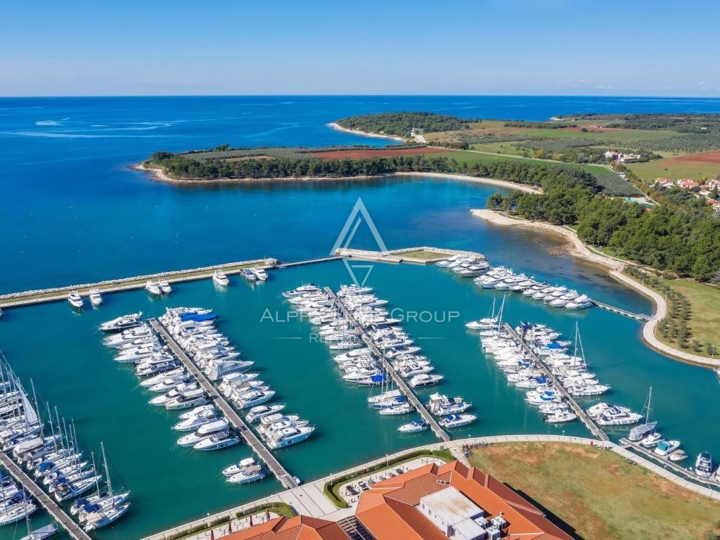 Istra, Novigrad, Moderna samostojna vila z bazenom v mirnem okolju