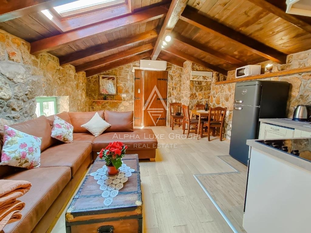Čudovita vila z bazenom in pogledom na morje, Istra, Opatija