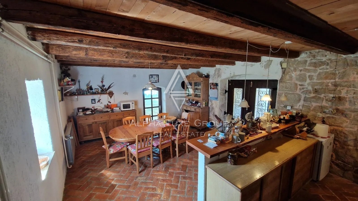 Fantastična hiša z bazenom, Istra, Poreč