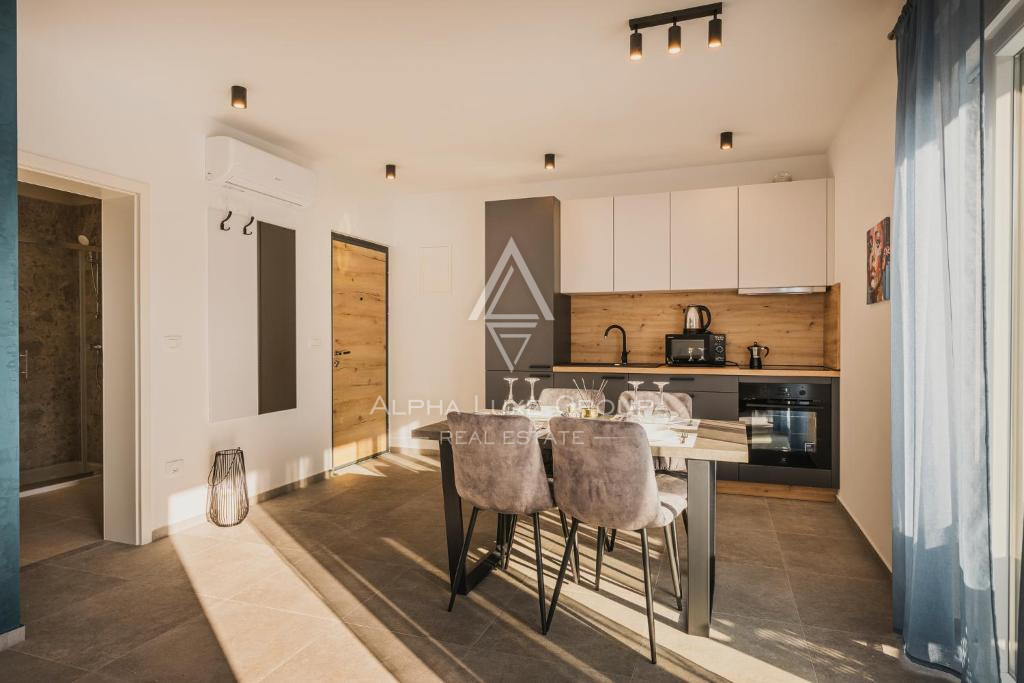 Umag, Istra: Moderna vila z bazenom in apartmaji