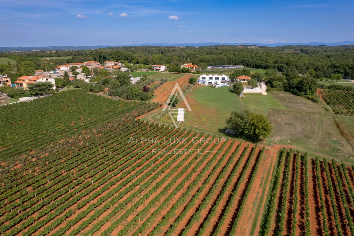 Istra, Višnjan: Luksuzna vila z bazenom in velikim vrtom