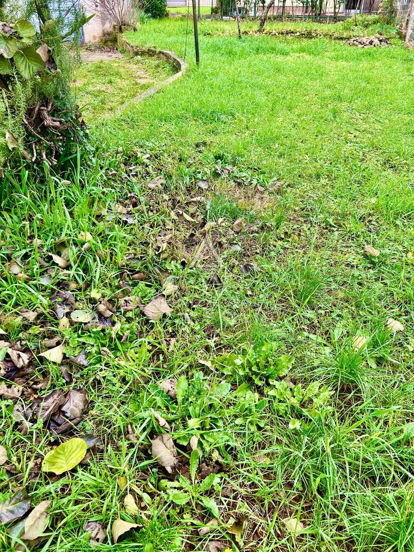 Istra, Umag: Stanovanje dvorišče garaža blizu morja