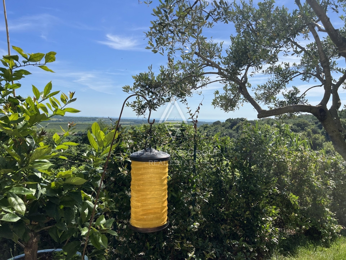 BUJE - HIŠA S PANORAMSKIM POGLEDOM NA MORJE