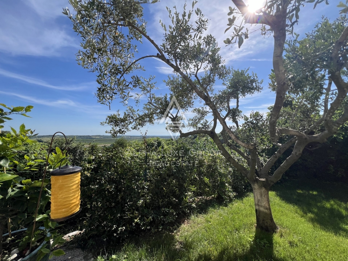 BUJE - HIŠA S PANORAMSKIM POGLEDOM NA MORJE
