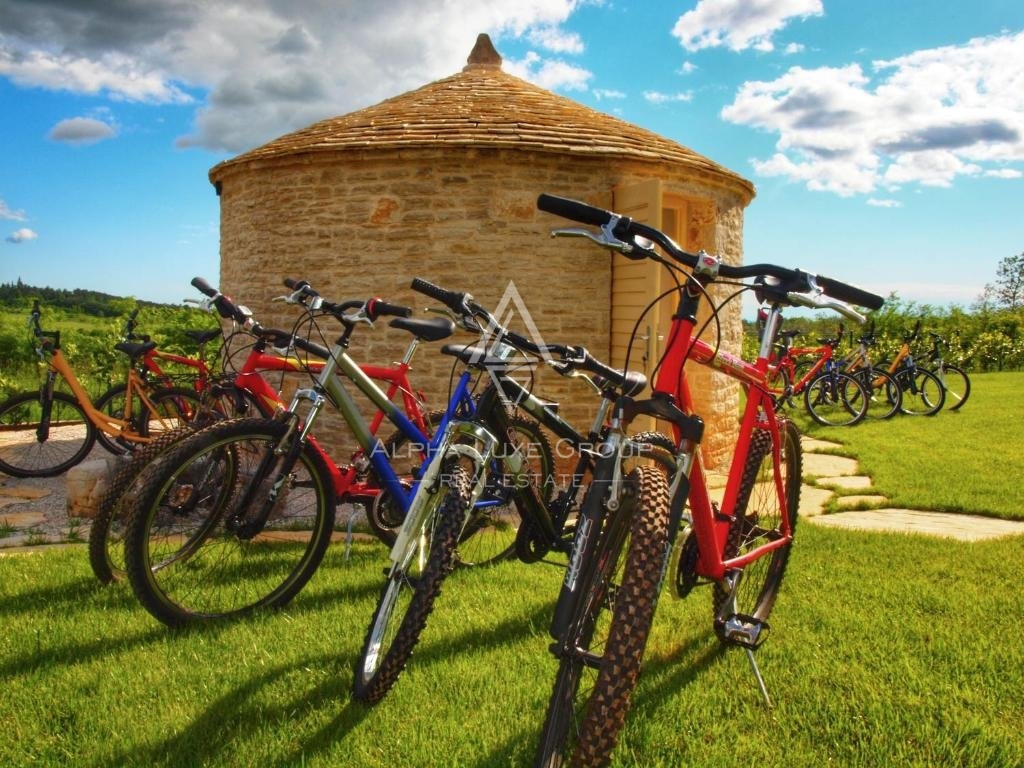 Istra, Višnjan: Istrska vila obdana z naravno lepoto