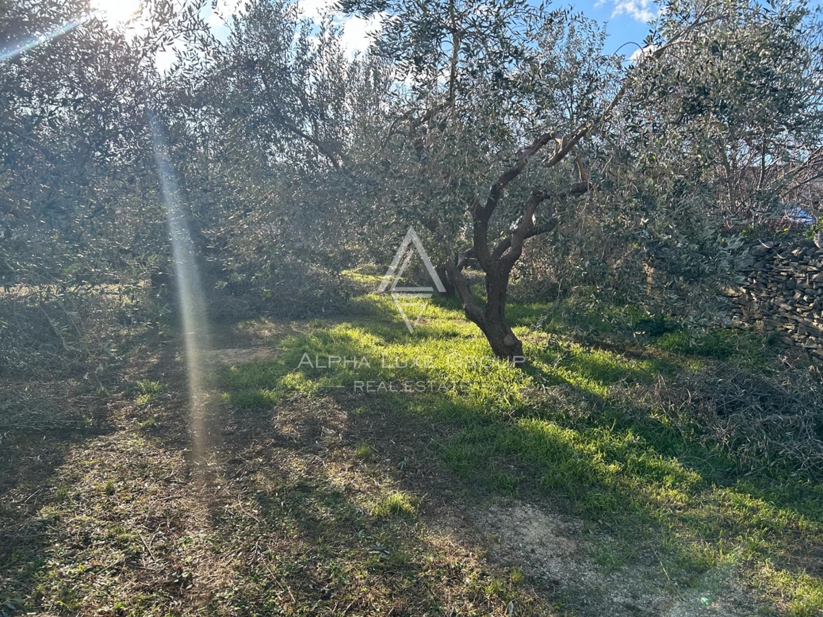 Pula, Istra : Gradbeno zemljišče v Velikem Vrhu