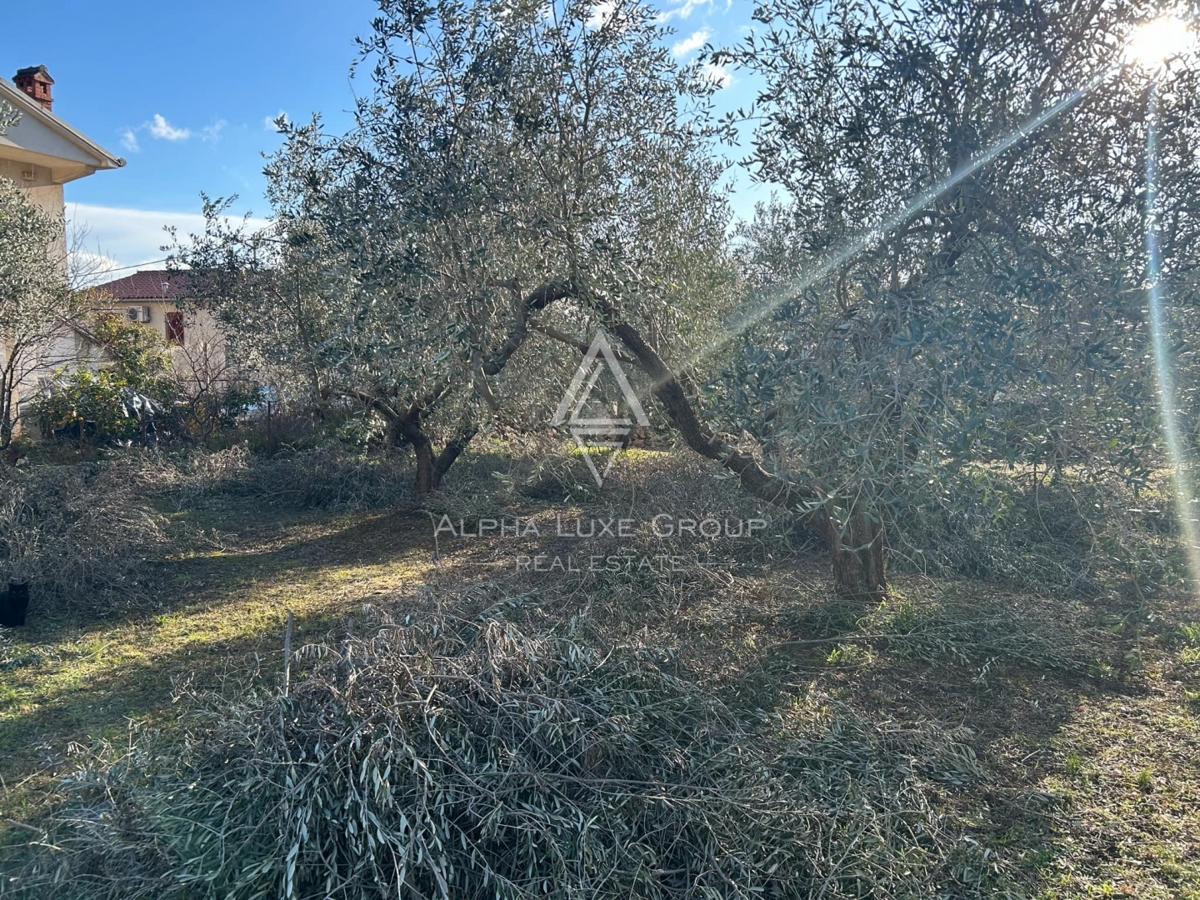 Pula, Istra : Gradbeno zemljišče v Velikem Vrhu