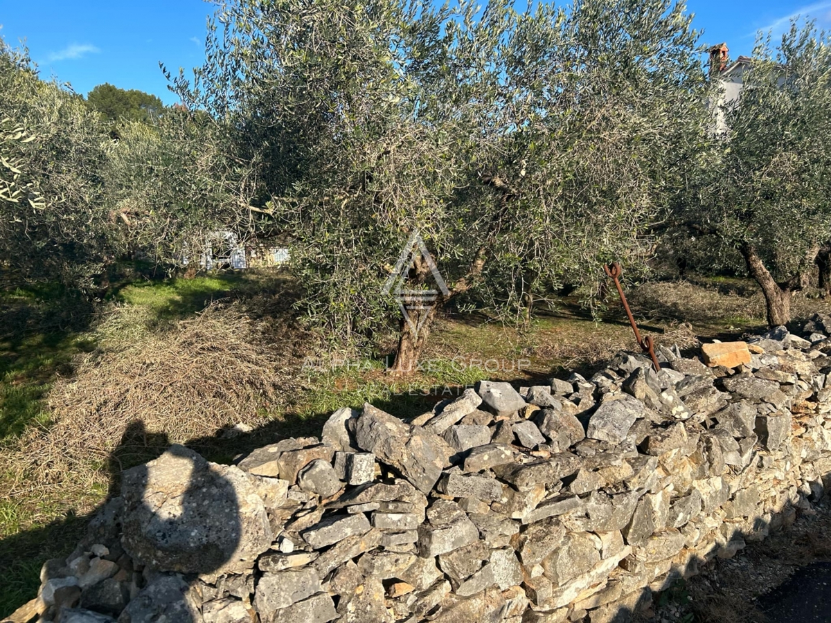 Pula, Istra : Gradbeno zemljišče v Velikem Vrhu