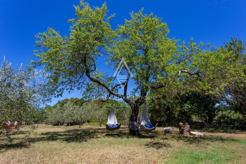 Istra, Rakalj: Luksuzna vila z bazenom in vrtom