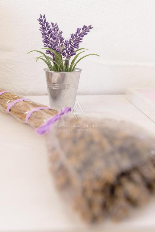 Istra, Sveti Lovreč: Avtentična vila z bazenom