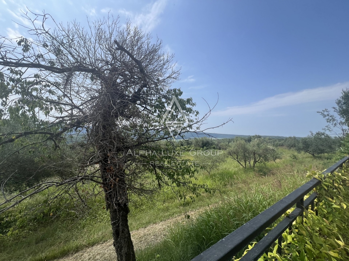 Istra, Buje – Čudovita vila z bazenom in panoramskim razgledom