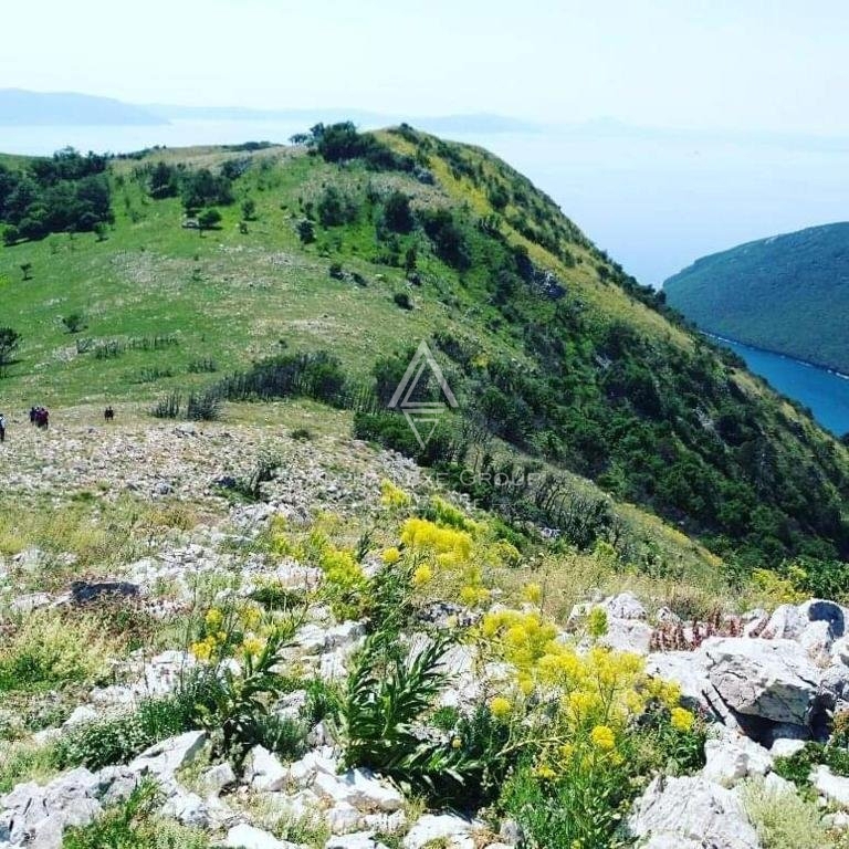 Labin, Istra: Vsestranska hiša z poslovnim prostorom na prodaj