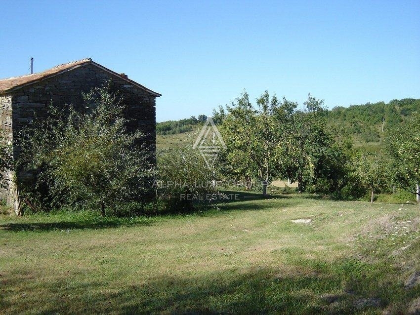 Edinstvena lega zemljišča v naravi, obkrožena z gozdom, Istra, Poreč