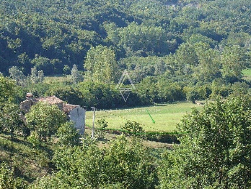 Edinstvena lega zemljišča v naravi, obkrožena z gozdom, Istra, Poreč