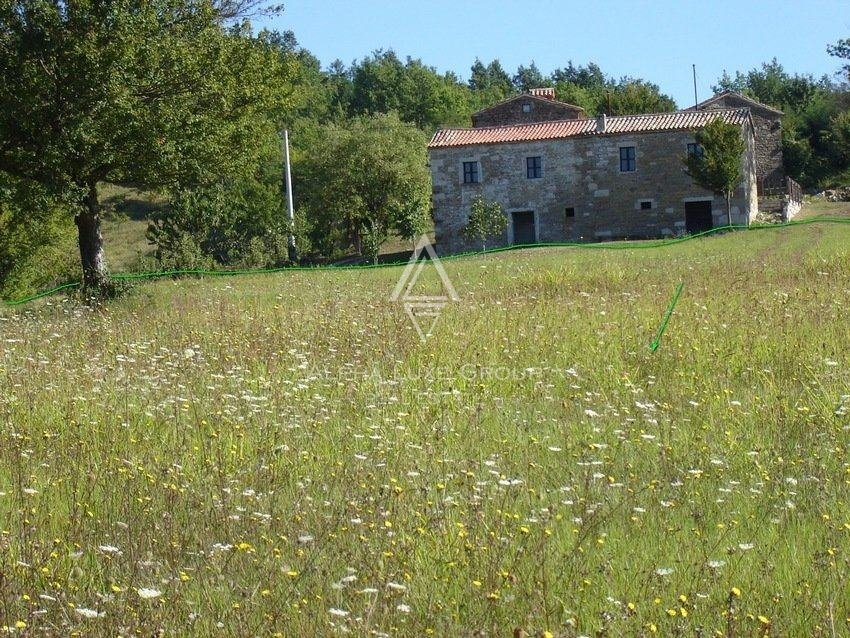 Edinstvena lega zemljišča v naravi, obkrožena z gozdom, Istra, Poreč