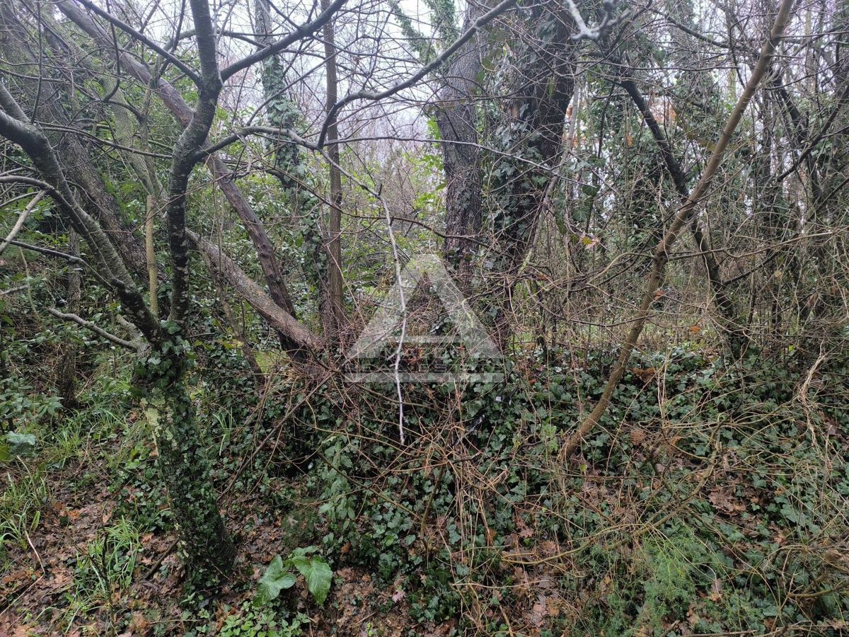 Zemljišće Umag, 3.300m2