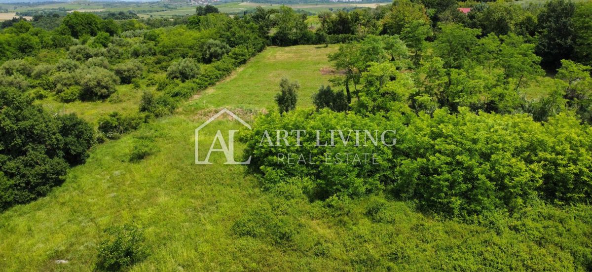 Brtonigla, okolica – kmetijsko zemljišče v izmeri 2.200 m² na mirni lokaciji