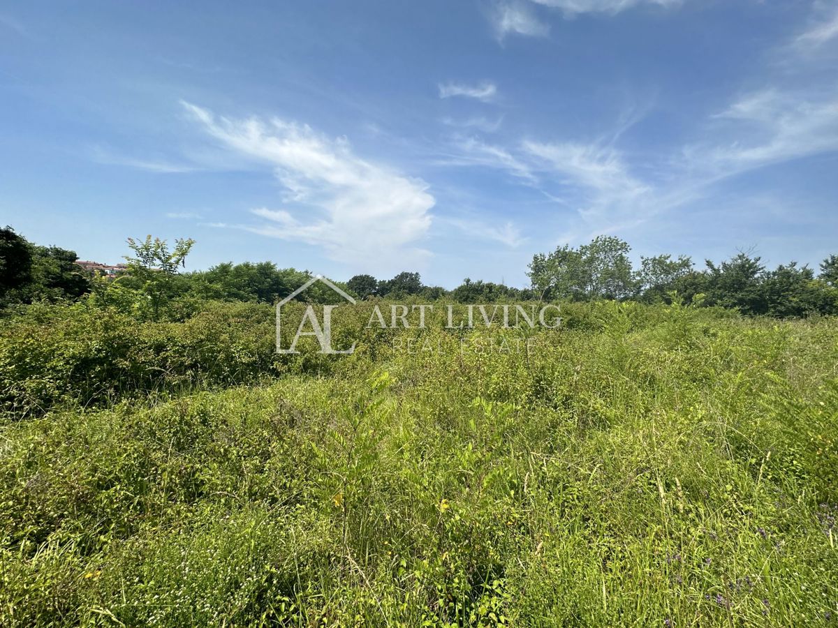Brtonigla, okolica – zanimivo kmetijsko zemljišče v izmeri 1.900 m²