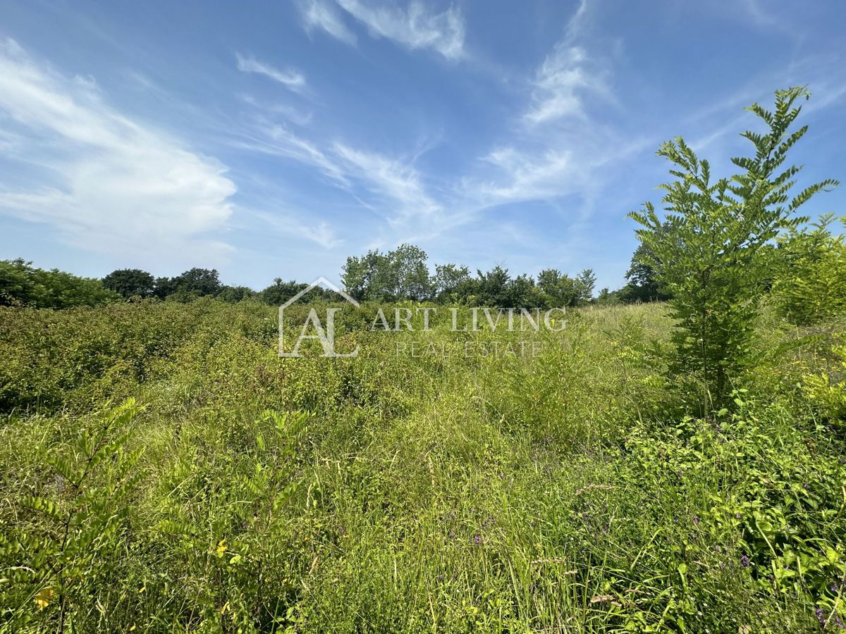 Brtonigla, okolica – zanimivo kmetijsko zemljišče v izmeri 1.900 m²