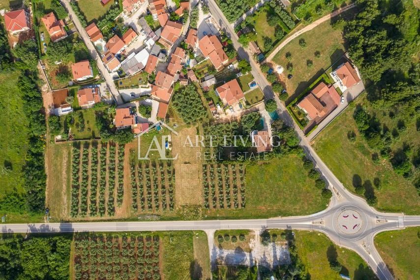 Istra, Tar - Prostorno atraktivno gradbeno zemljišče, 3500 m2, odlična lokacija