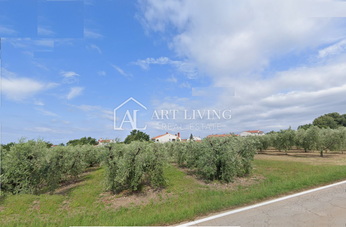 Istra, Tar - Prostorno atraktivno gradbeno zemljišče, 3500 m2, odlična lokacija