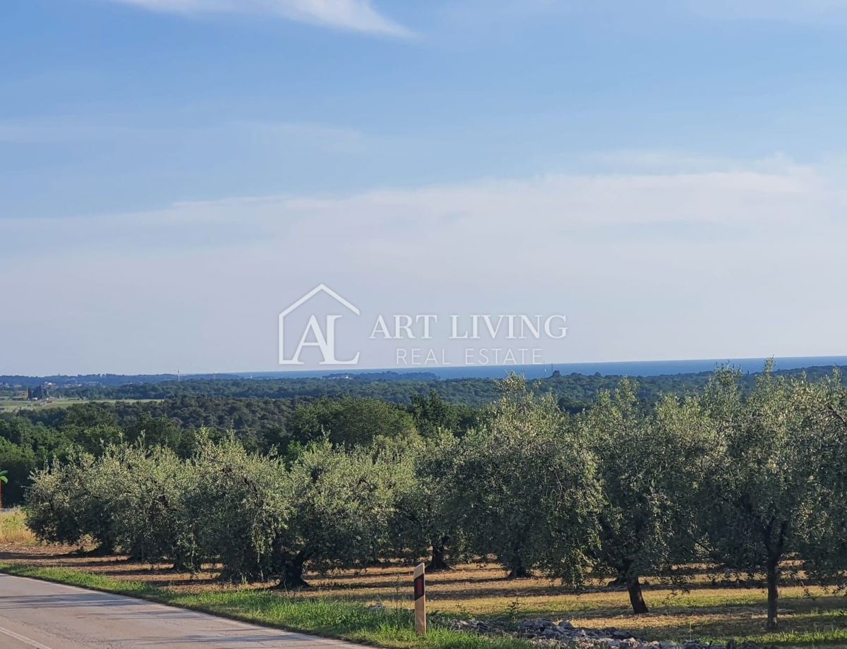 Istra, Tar - Prostorno atraktivno gradbeno zemljišče, 3500 m2, odlična lokacija