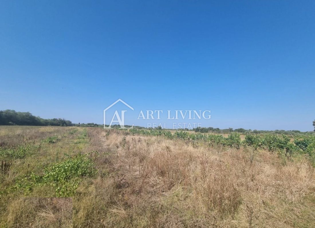 Brtonigla, okolica – prostorno kmetijsko zemljišče, 3.000 m²