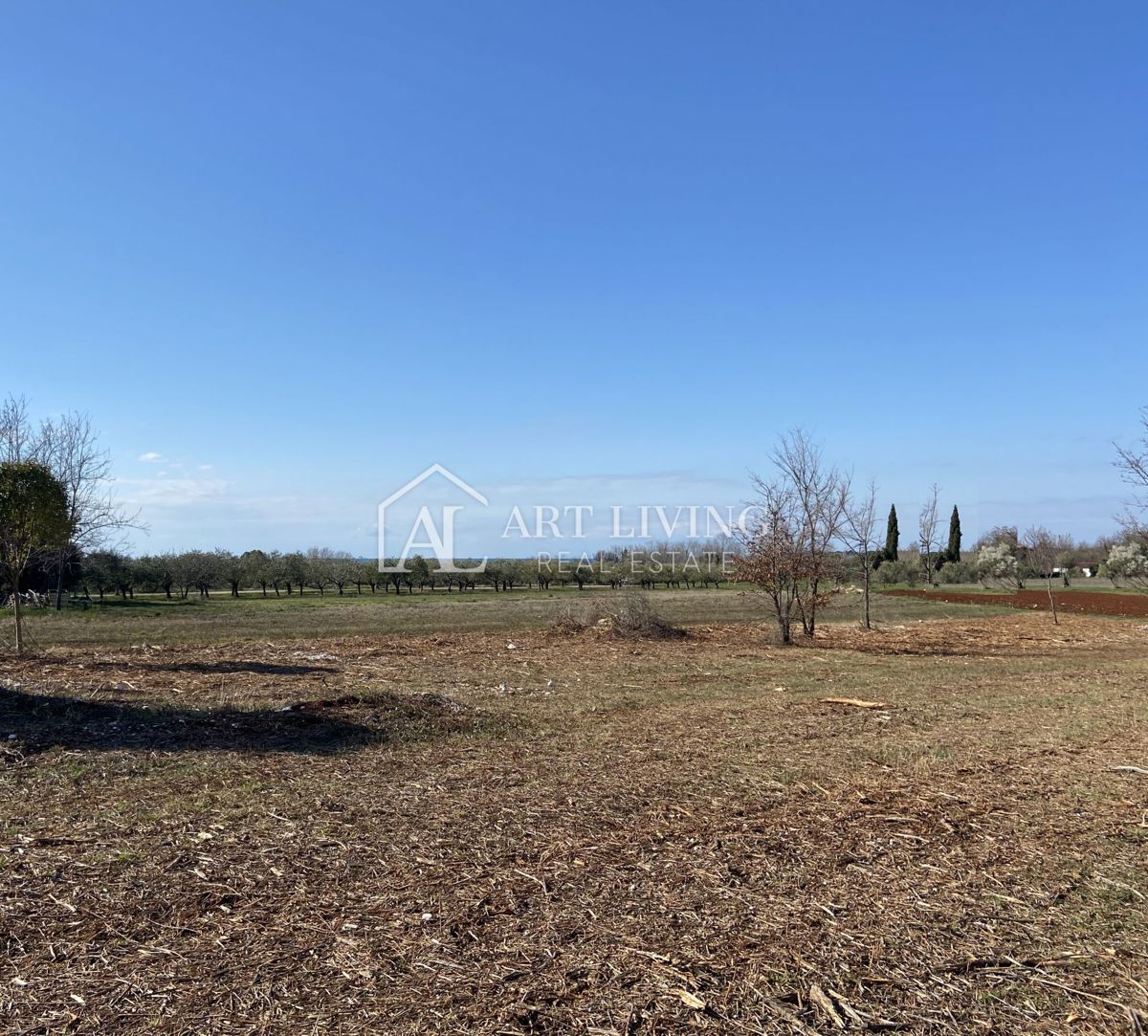 Brtonigla, okolica – prostorno kmetijsko zemljišče, 3.000 m²
