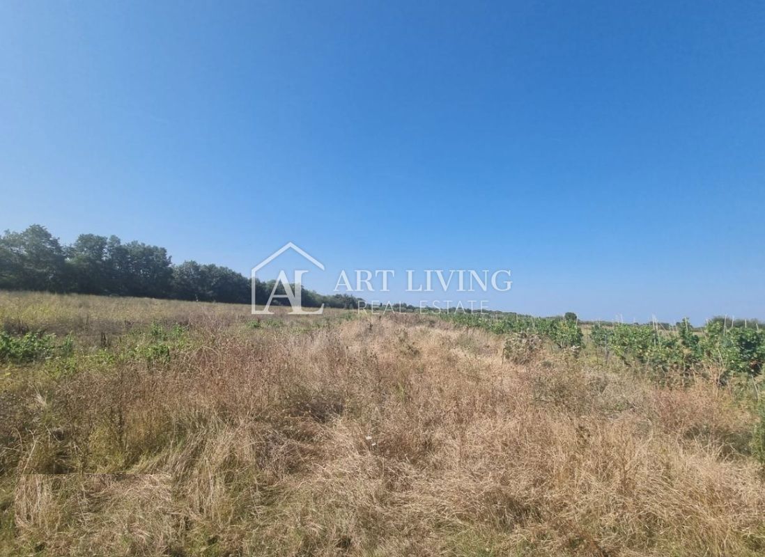 Brtonigla, okolica – prostorno kmetijsko zemljišče, 3.000 m²