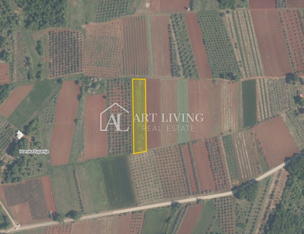 Brtonigla, okolica – prostorno kmetijsko zemljišče, 3.000 m²