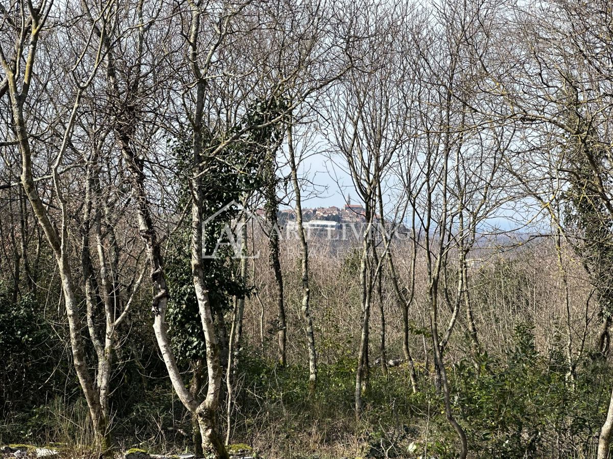 Grožnjan, okolica - atraktivno gradbeno zemljišče, 1100 m2 s čudovitim razgledom