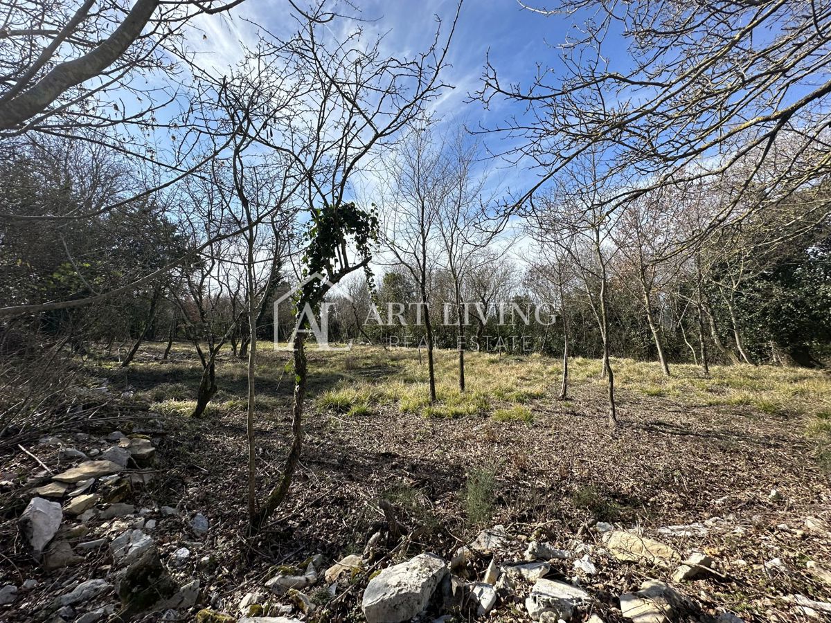 Grožnjan, okolica - atraktivno gradbeno zemljišče, 1100 m2 s čudovitim razgledom