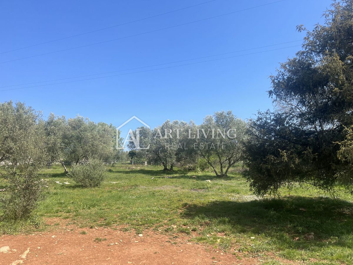 Buje - Kaštel - gradbeno zemljišče 1250 m2, PRILOŽNOST