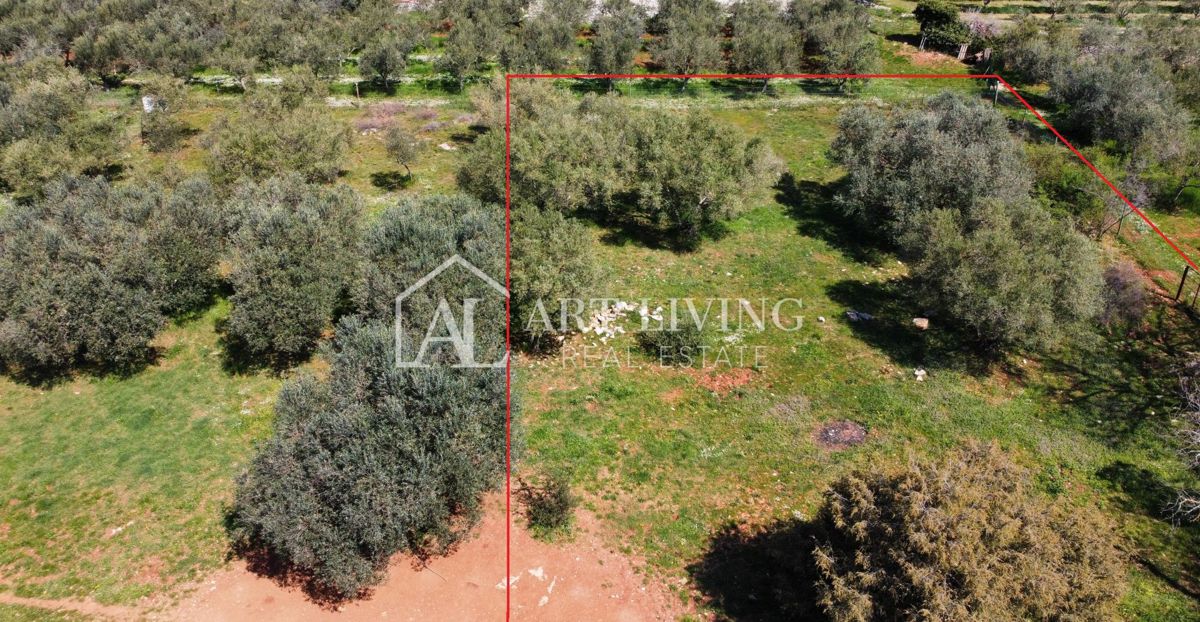 Buje - Kaštel - gradbeno zemljišče 1250 m2, PRILOŽNOST