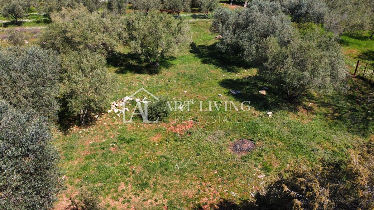 Buje - Kaštel - gradbeno zemljišče 1250 m2, PRILOŽNOST