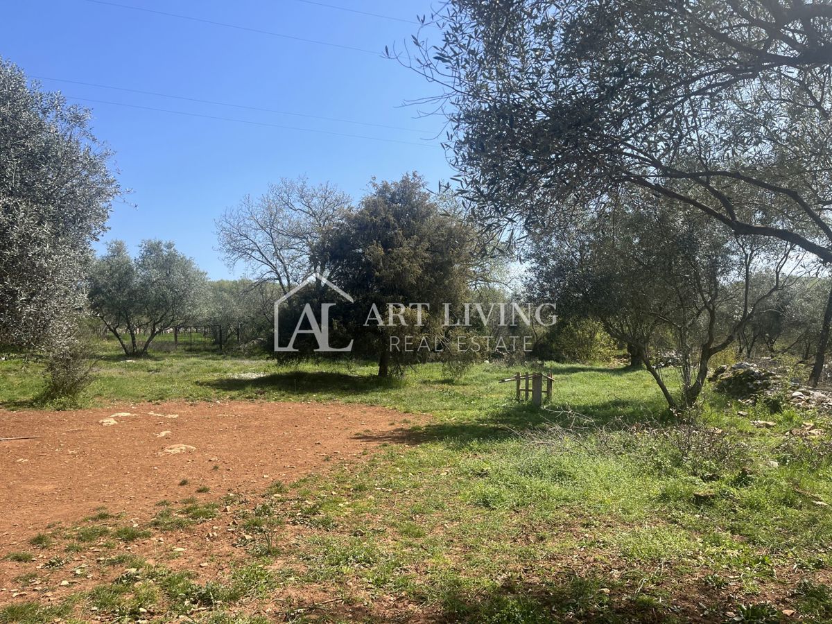 Buje - Kaštel - gradbeno zemljišče 1250 m2, PRILOŽNOST