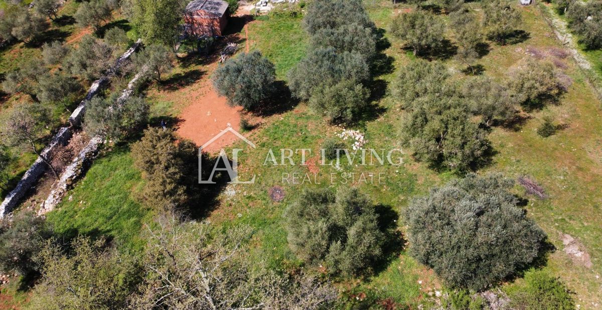 Buje - Kaštel - gradbeno zemljišče 1250 m2, PRILOŽNOST