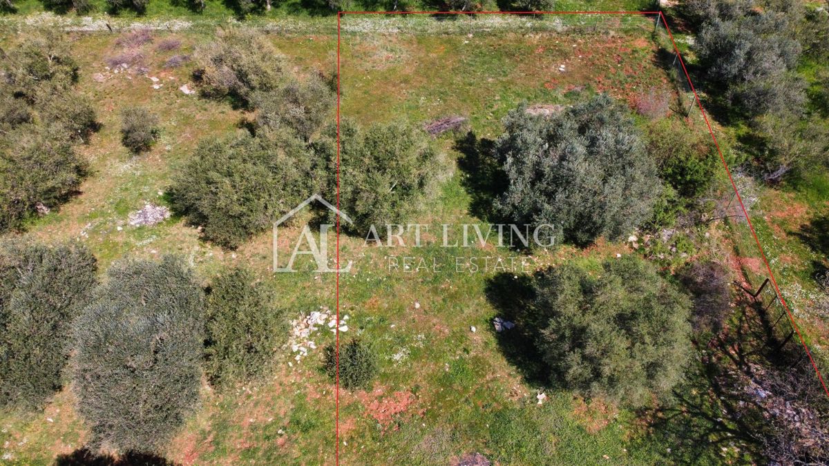 Buje - Kaštel - gradbeno zemljišče 1250 m2, PRILOŽNOST