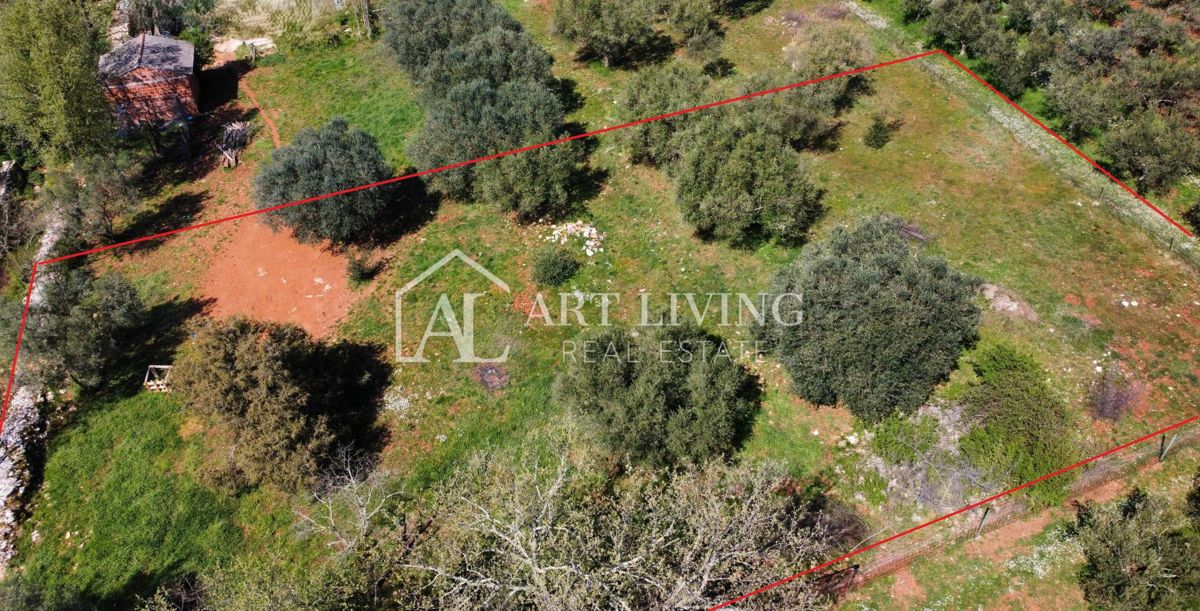 Buje - Kaštel - gradbeno zemljišče 1250 m2, PRILOŽNOST