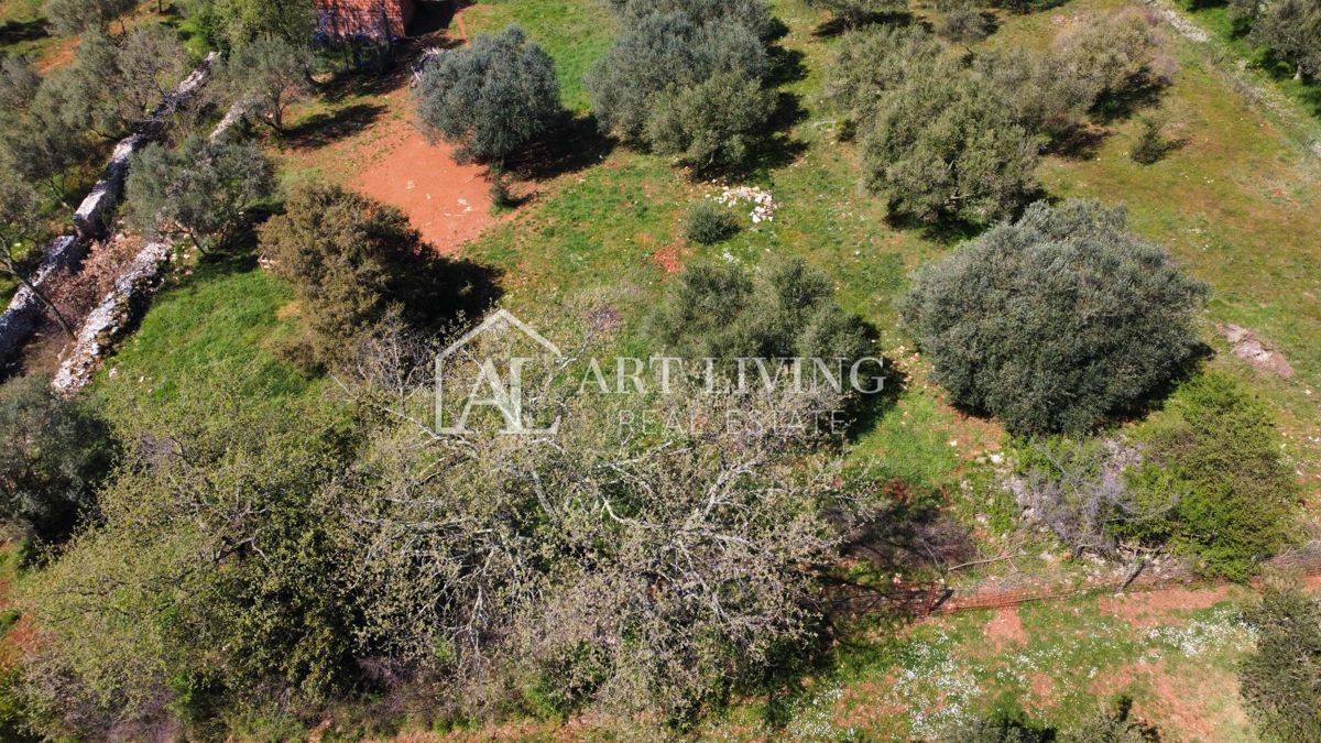 Buje - Kaštel - gradbeno zemljišče 1250 m2, PRILOŽNOST