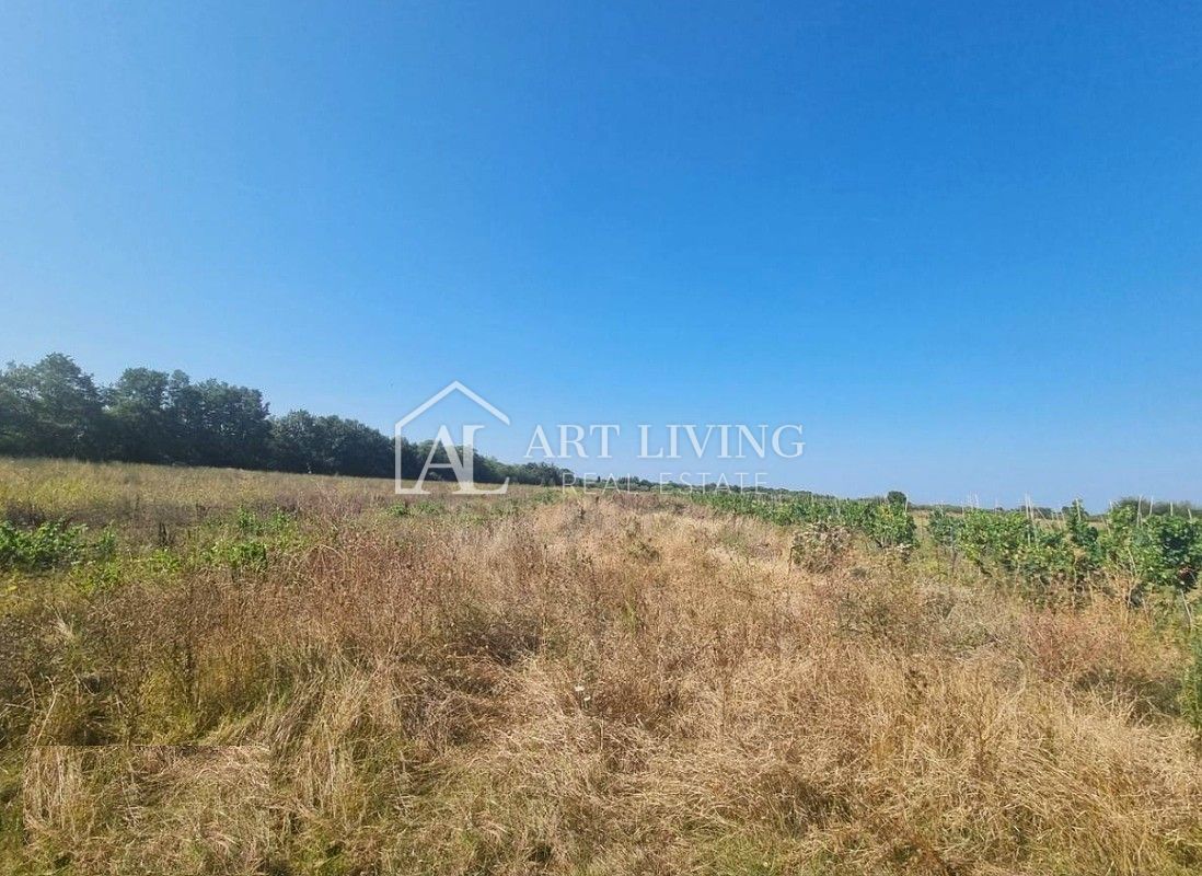 Poreč, okolica - prostorno gradbeno zemljišče na mirni in lepi lokaciji