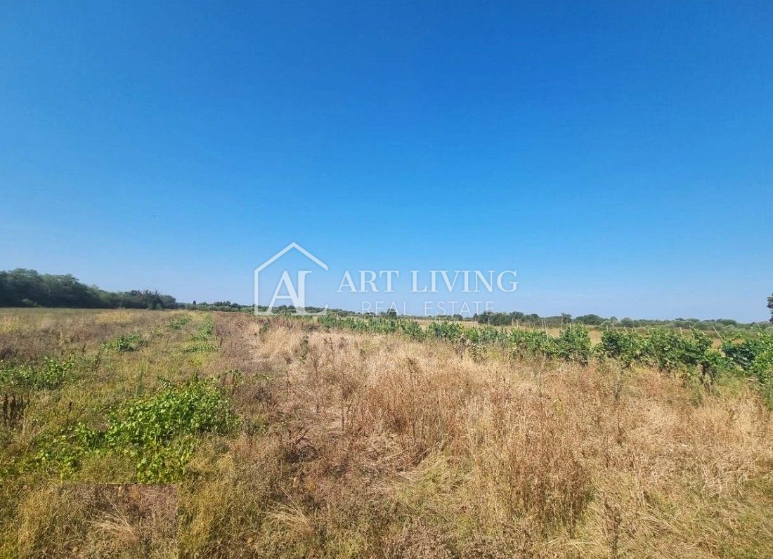 Poreč, okolica - prostorno gradbeno zemljišče na mirni in lepi lokaciji