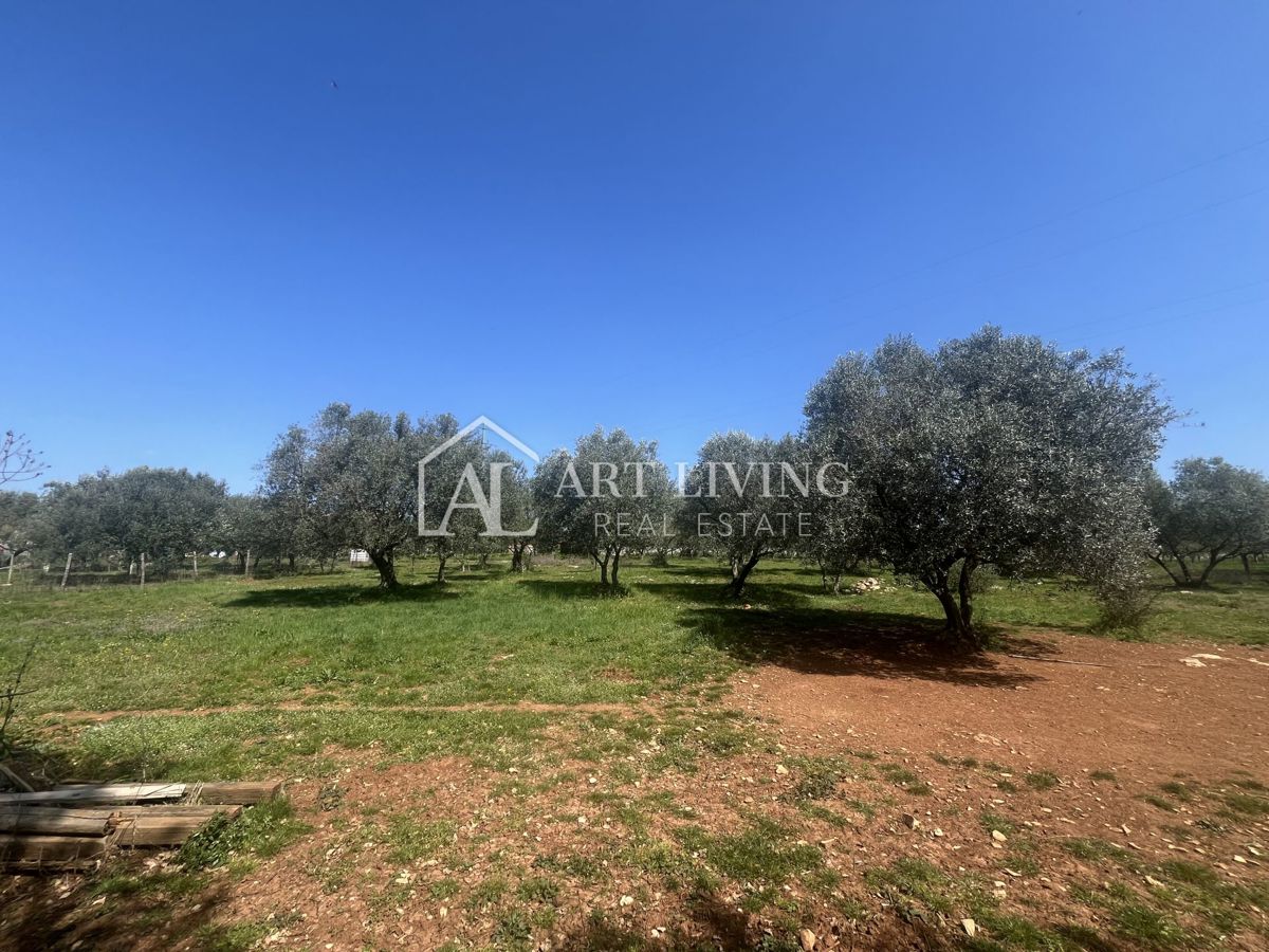 Buje - Kaštel - PRILOŽNOST, gradbeno zemljišče 1200 m2