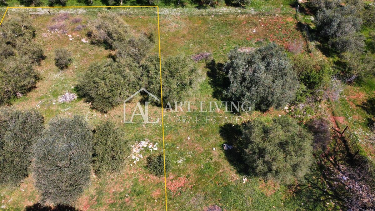 Buje - Kaštel - PRILOŽNOST, gradbeno zemljišče 1200 m2