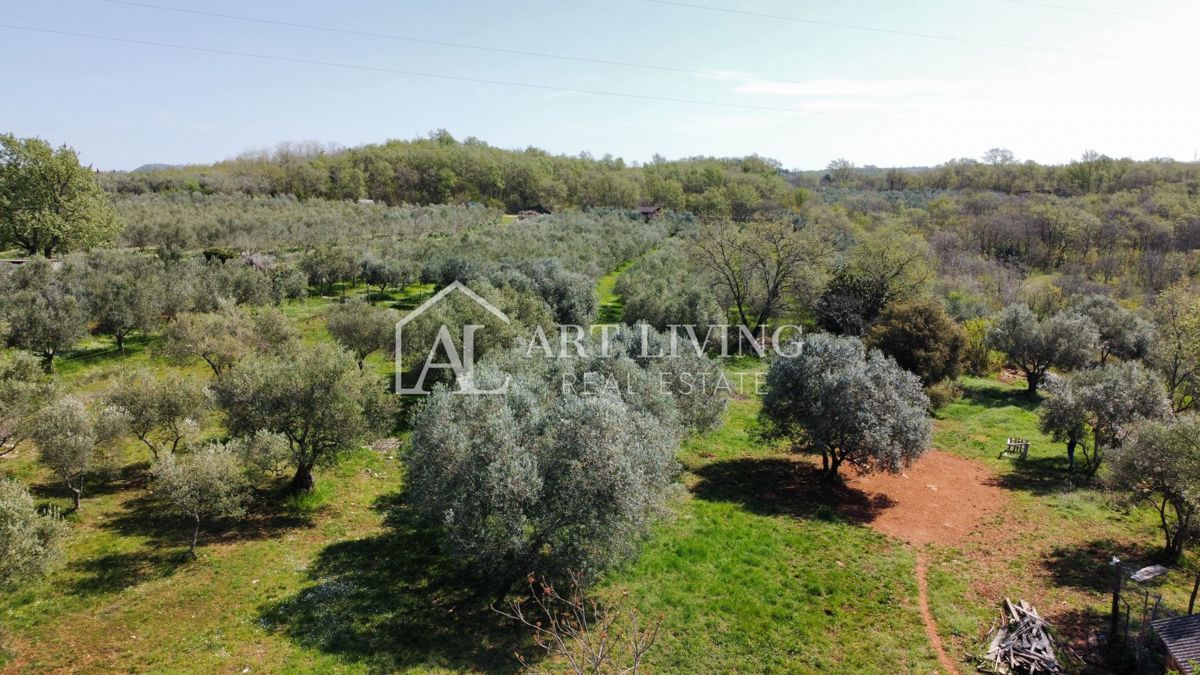 Buje - Kaštel - PRILOŽNOST, gradbeno zemljišče 1200 m2