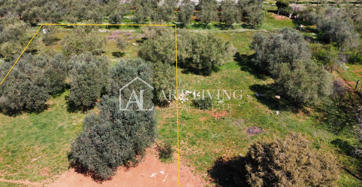 Buje - Kaštel - PRILOŽNOST, gradbeno zemljišče 1200 m2