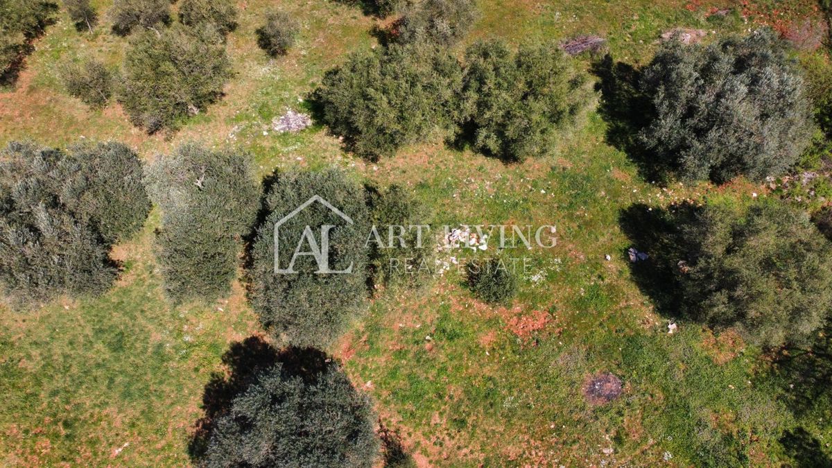 Buje - Kaštel - PRILOŽNOST, gradbeno zemljišče 1200 m2