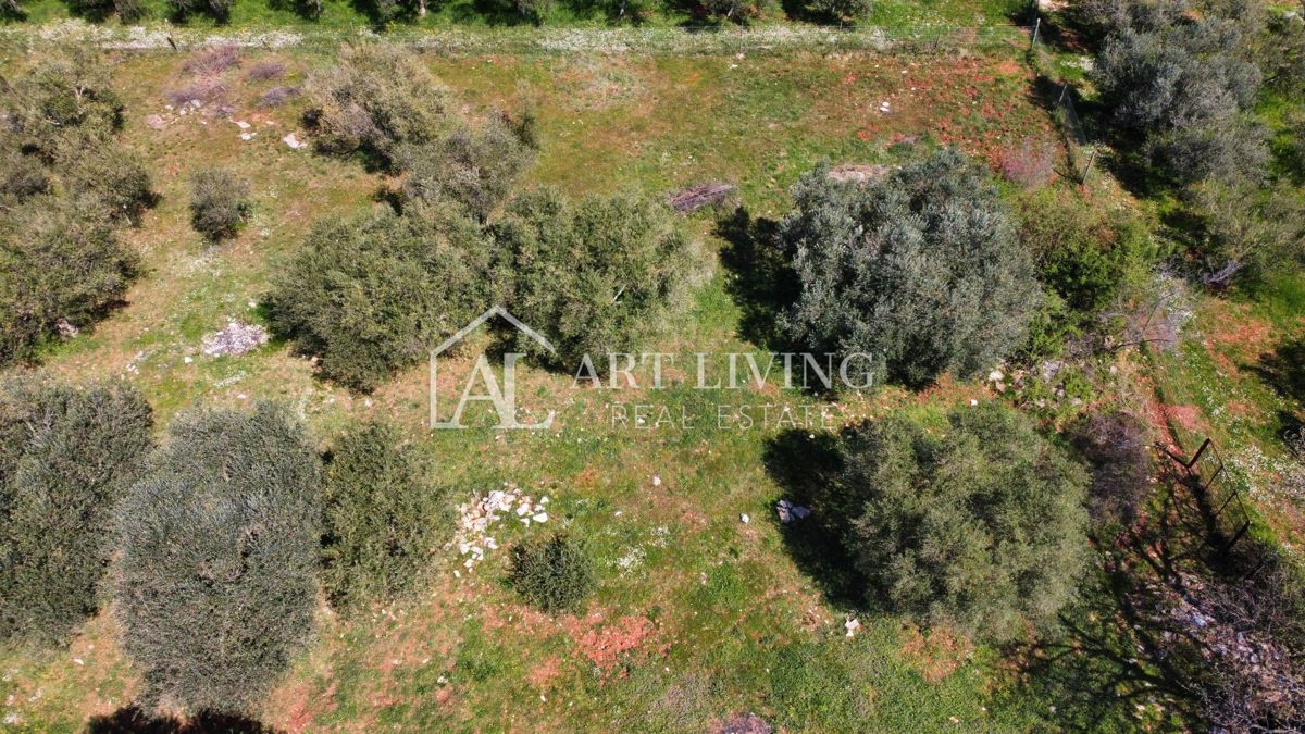 Buje - Kaštel - PRILOŽNOST, gradbeno zemljišče 1200 m2