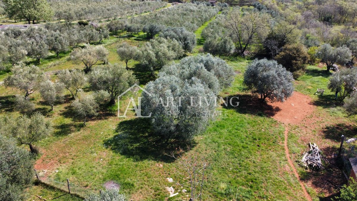 Buje - Kaštel - PRILOŽNOST, gradbeno zemljišče 1200 m2